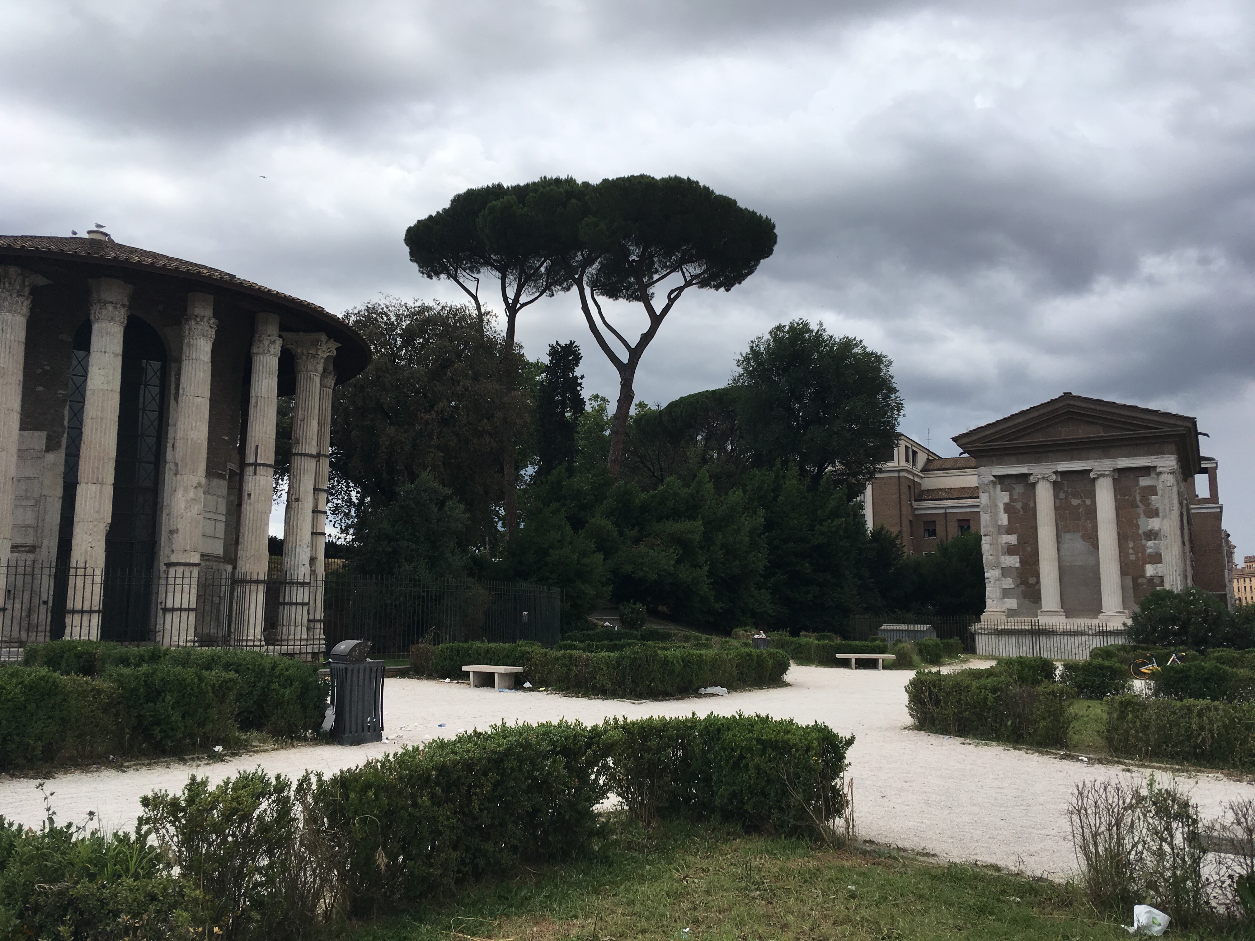 20180605_131556292_iOS (2)